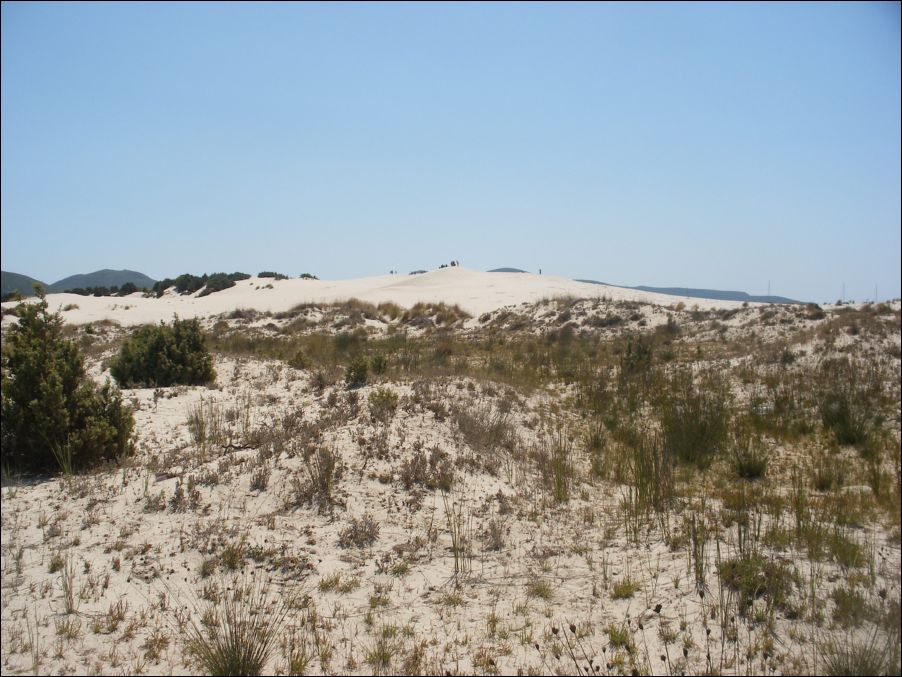 sardegna 2009 047
